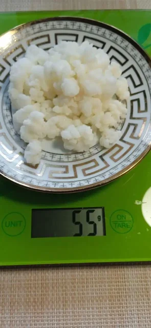 Продажа молочного грибка в Калининграде - Ювелирные изделия в Калининград