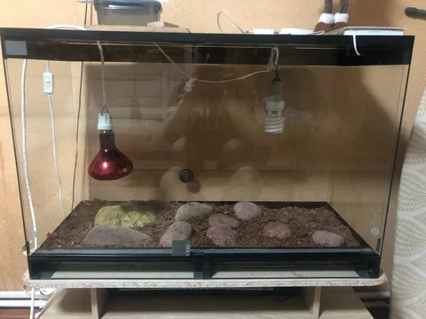 Террариум 90x60x40 см с лампой и аксессуарами - Террариумы и оборудование в Калининград