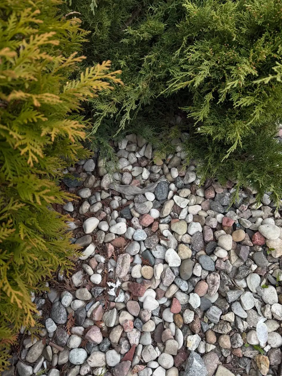 Материалы для строительства и огорода с доставкой - Барахолка в Калининград