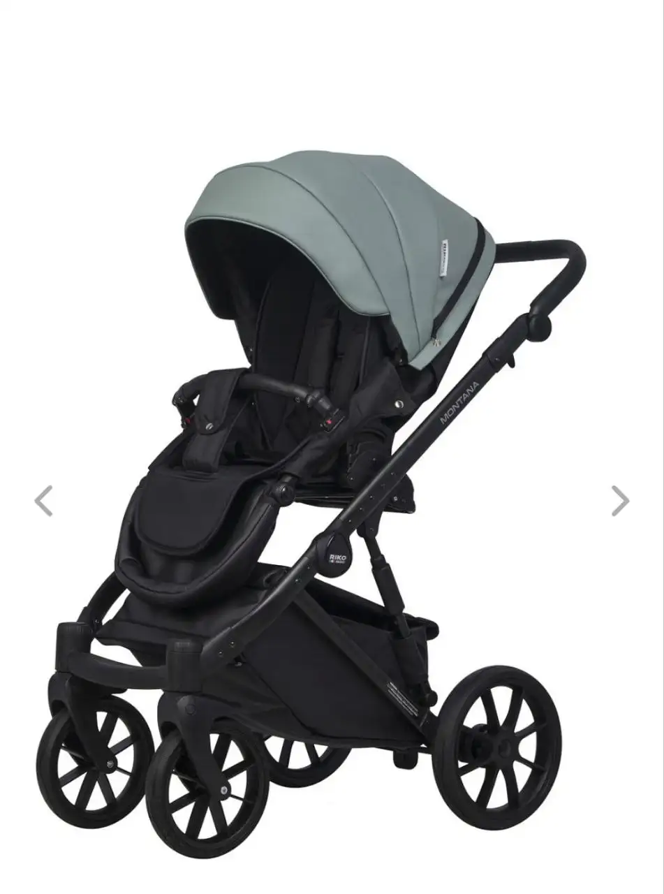 Коляска Riko Basic Montana Ecco 2 в 1 - Коляски (Товары для детей) в Калининград