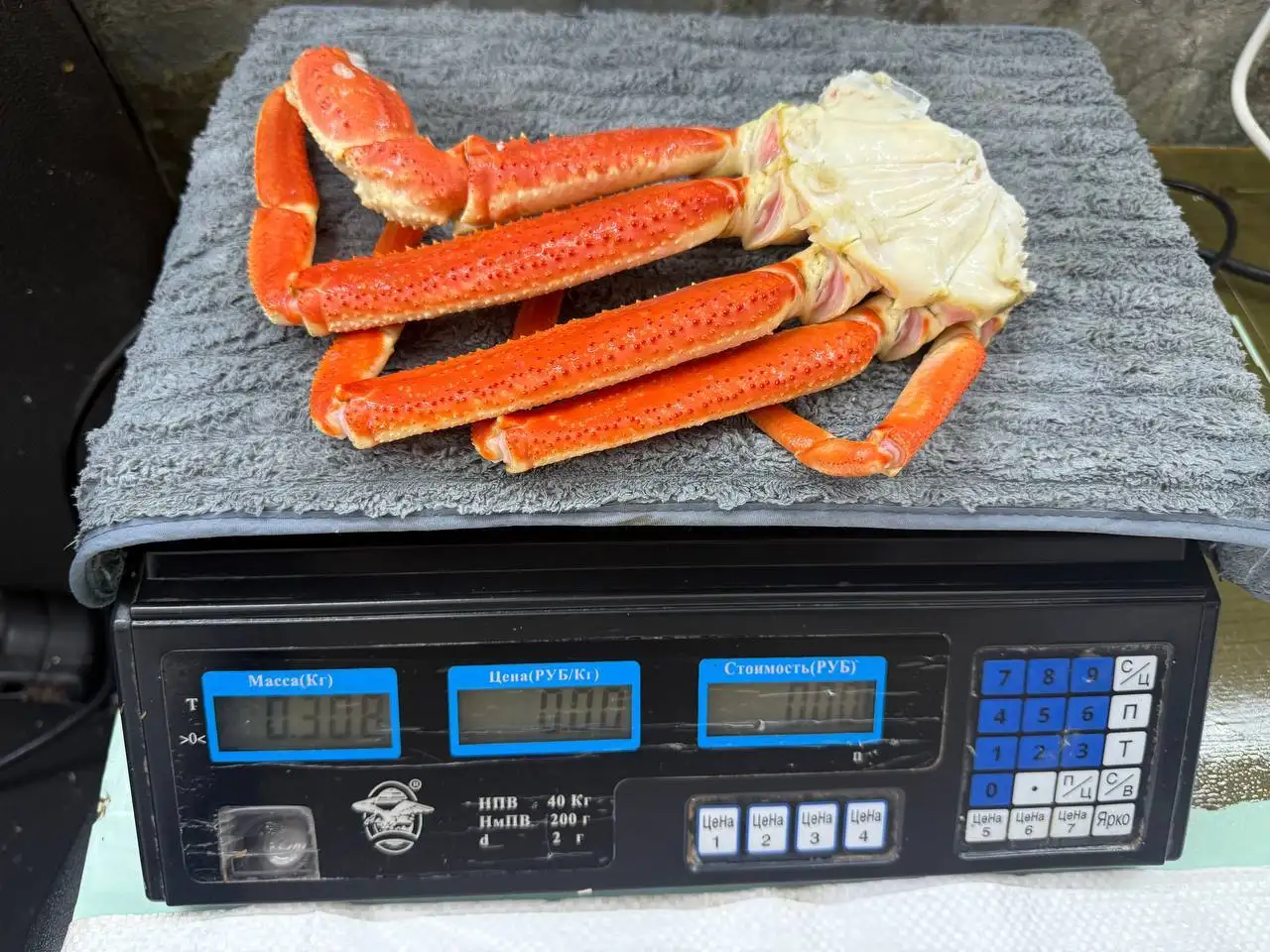Продажа краба стригуна с Камчатки - Морепродукты (Еда) в Калининград