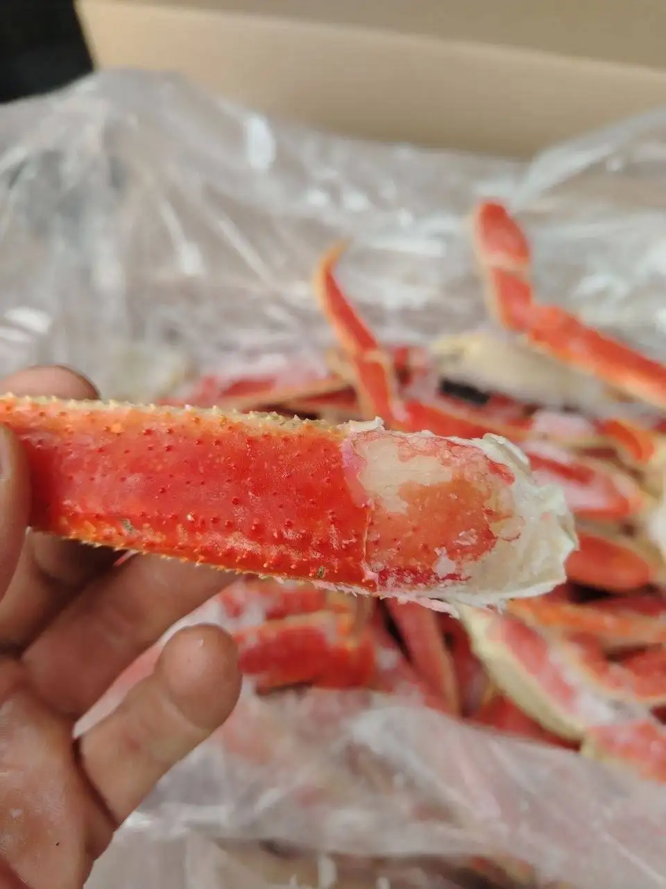 Продажа краба стригуна с Камчатки - Морепродукты (Еда) в Калининград