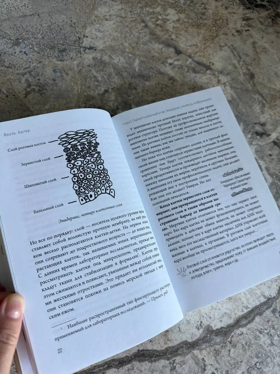 Книга в идеальном состоянии - Барахолка в Калининград