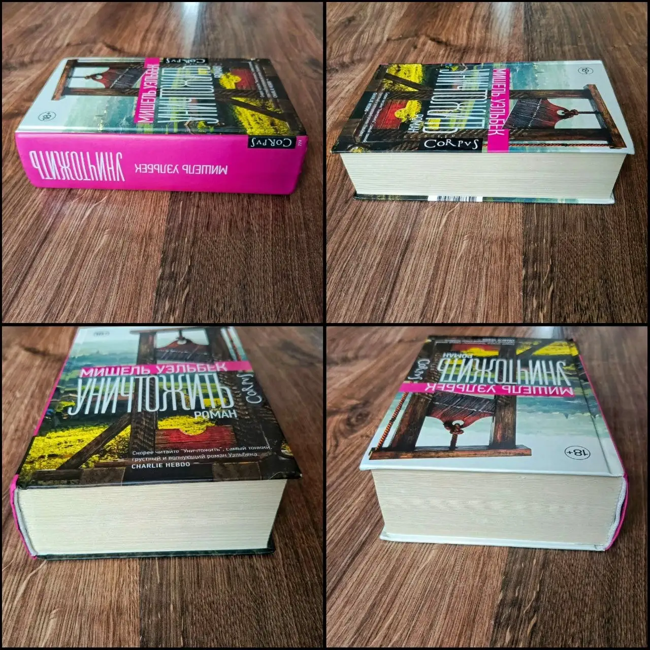 Книга Мишель Уэльбек - Уничтожить - Книги (Барахолка) в Калининград