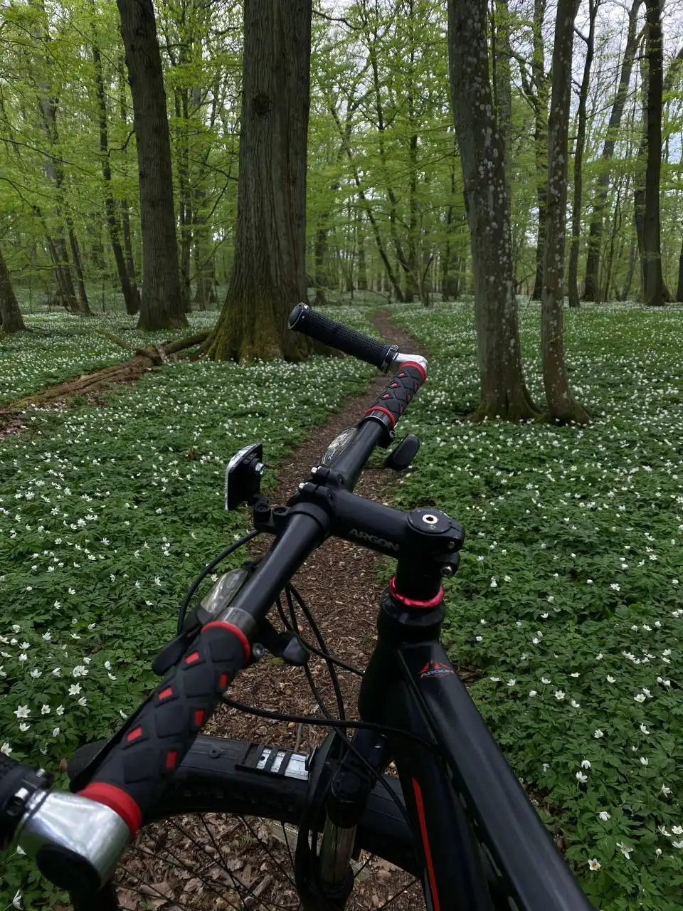 Спортивный велосипед Argon