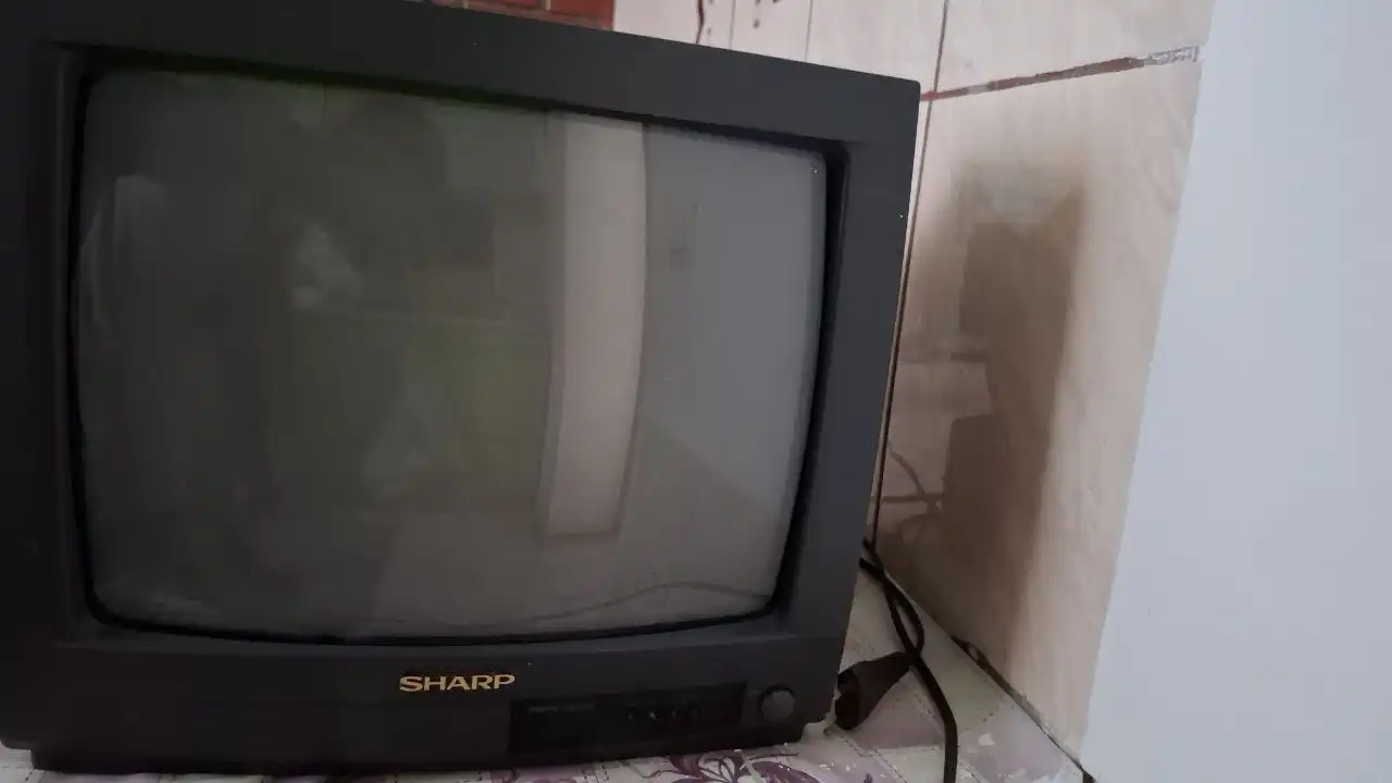 Телевизор Sharp DV-3760S 35 см без пульта