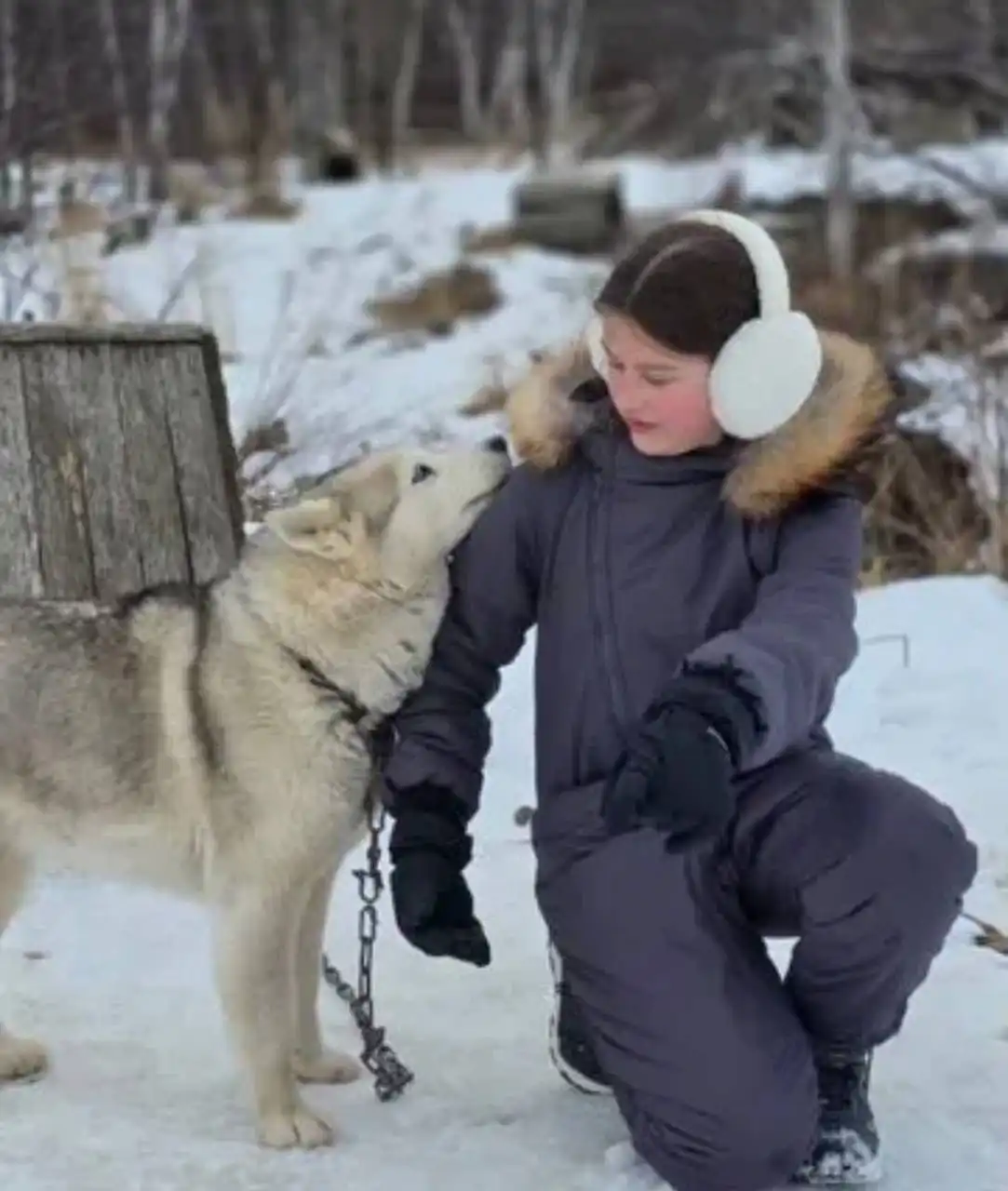 Детский комбинезон INTATIKA серый, 152 см, б/у