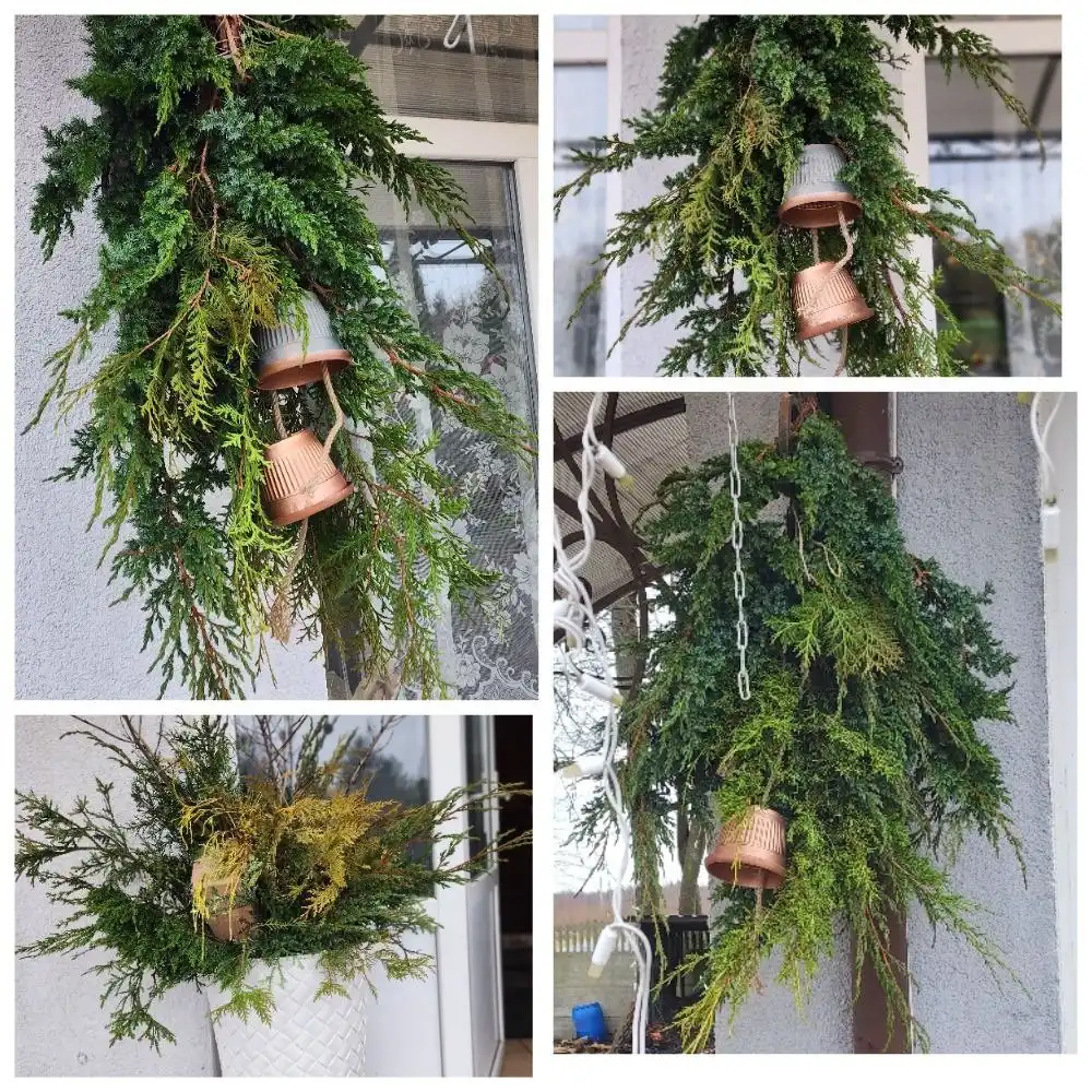 Новогодние композиции из натуральных ветвей можжевельника, туй, елей