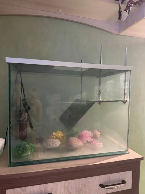 Аквариум для черепахи/рыбок с регулируемым мостиком - Разное в Калининград