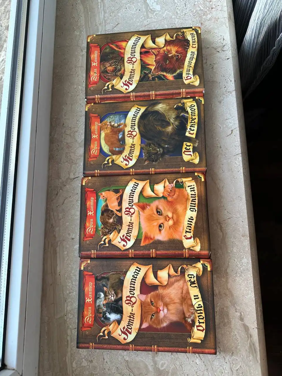 Коты воители книги первый цикл