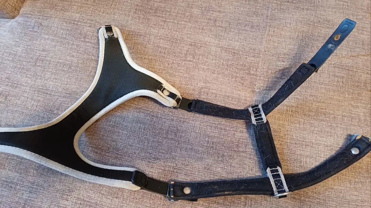 Шлейки Ferplast ergocomfort для собак - Аксессуары для животных (Животные) в Калининград