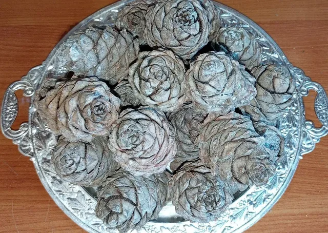 Кедровая шишка с орехами и набор для чая - Барахолка в Калининград