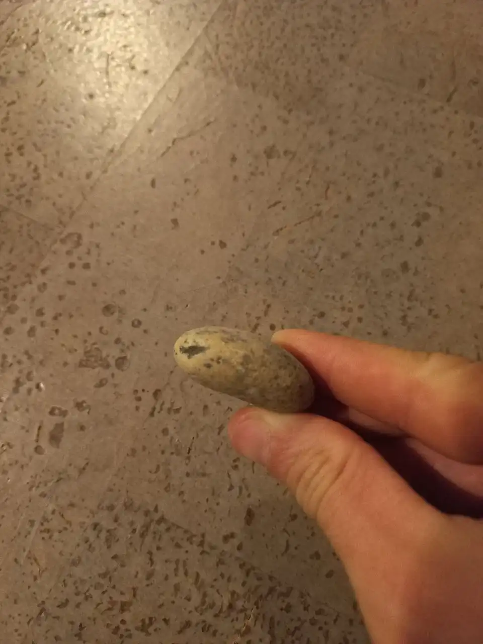 Продам красивый лёгкий камень для украшения - Декорации (Барахолка) в Калининград