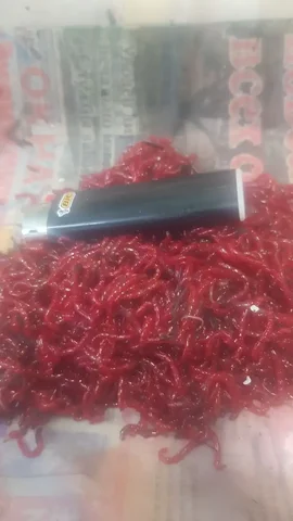 Продажа местного мотыля - Книги и аксессуары для маникюра в Калининград