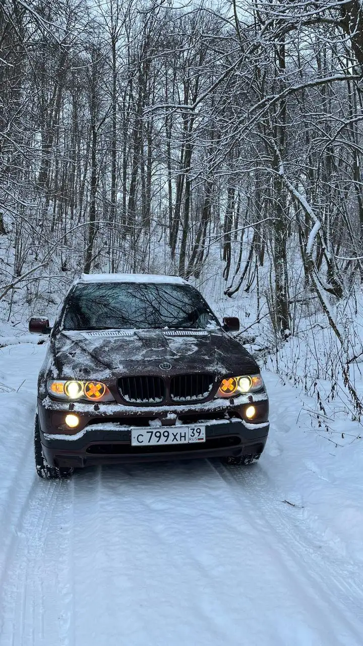 Продам BMW X5 e53 4.4 в хорошем состоянии - BMW X5 (Авто) в Калининград