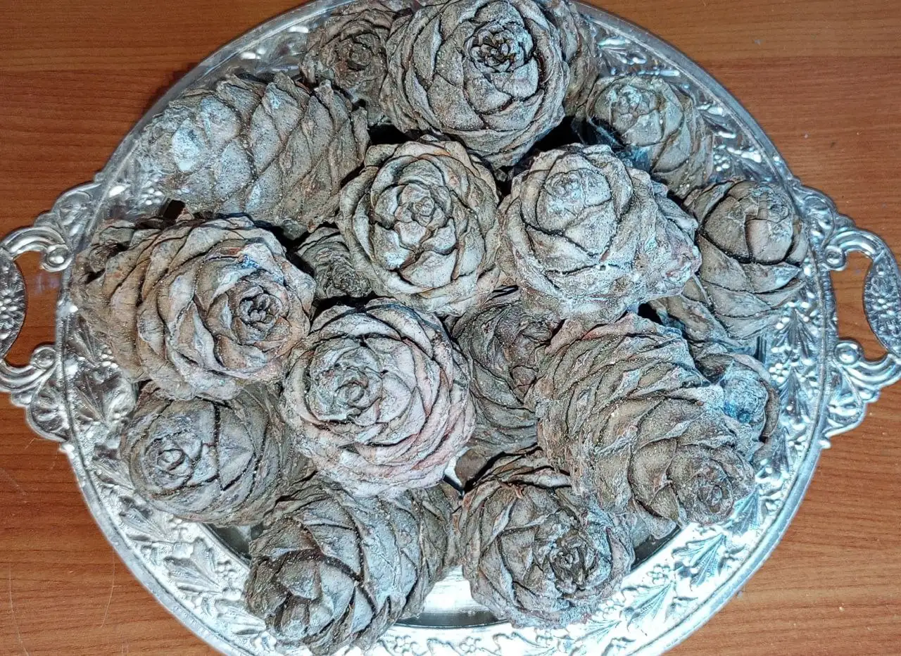 Кедровая шишка с орехами и набор для чая - Барахолка в Калининград