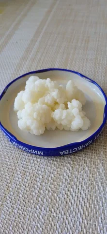 Молочный грибок для домашнего кефира и творога - частное объявление в Калининград