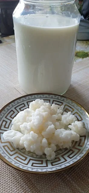 Продажа молочного грибка - Ювелирные изделия в Калининград