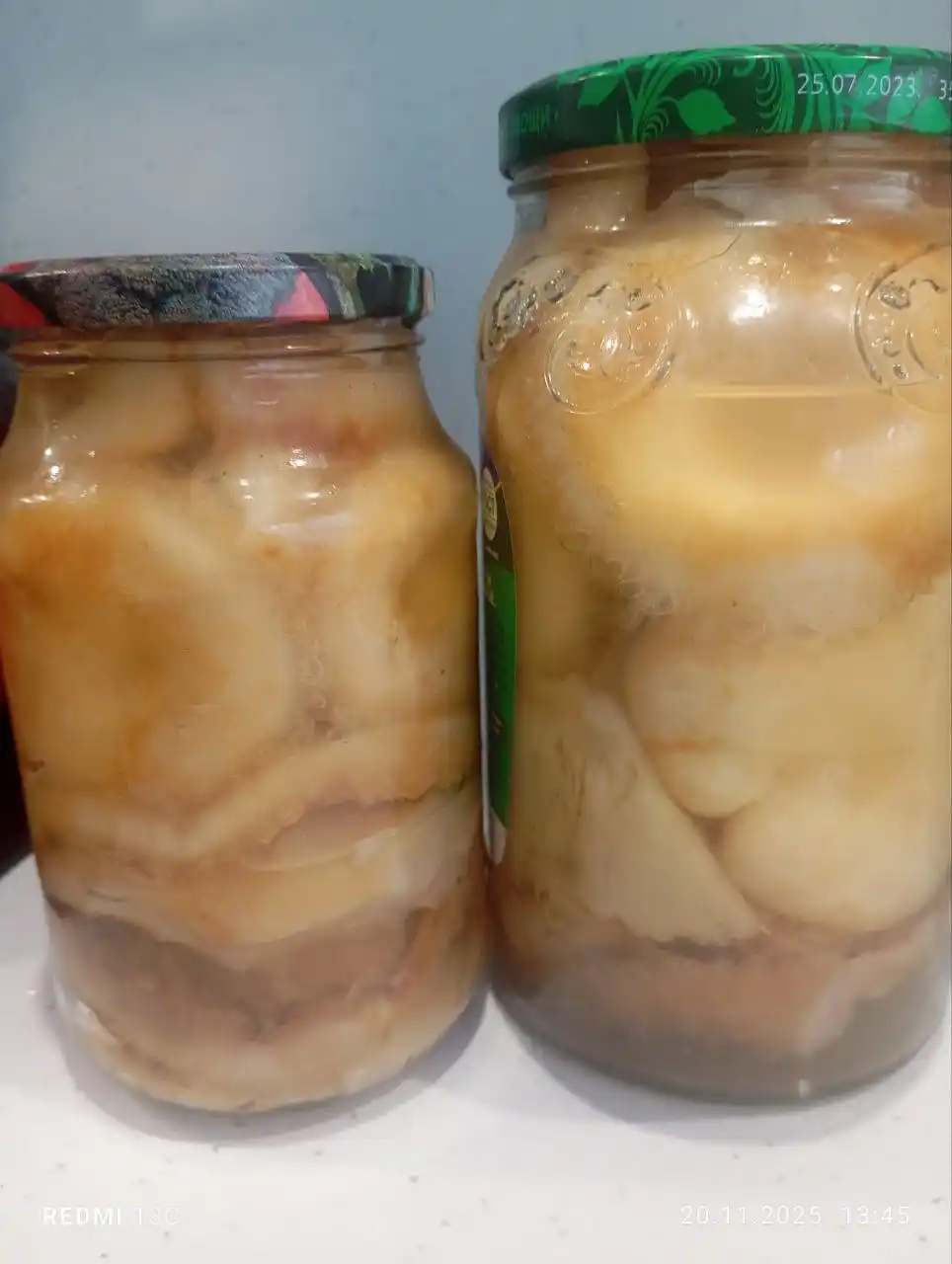 Грузди - Хобби и отдых в Ангарский район