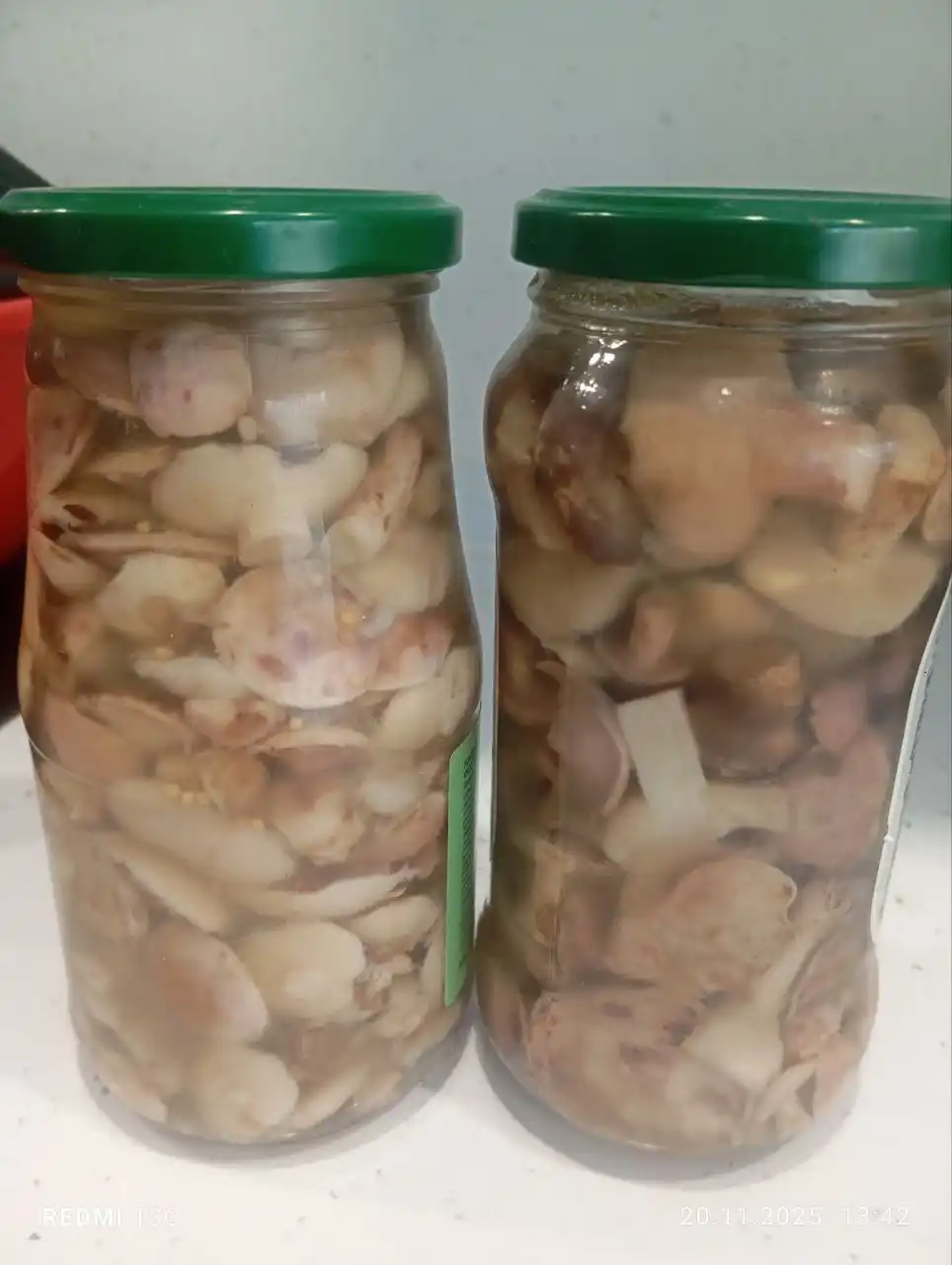Маслята маринованные - Хобби и отдых в Ангарский район