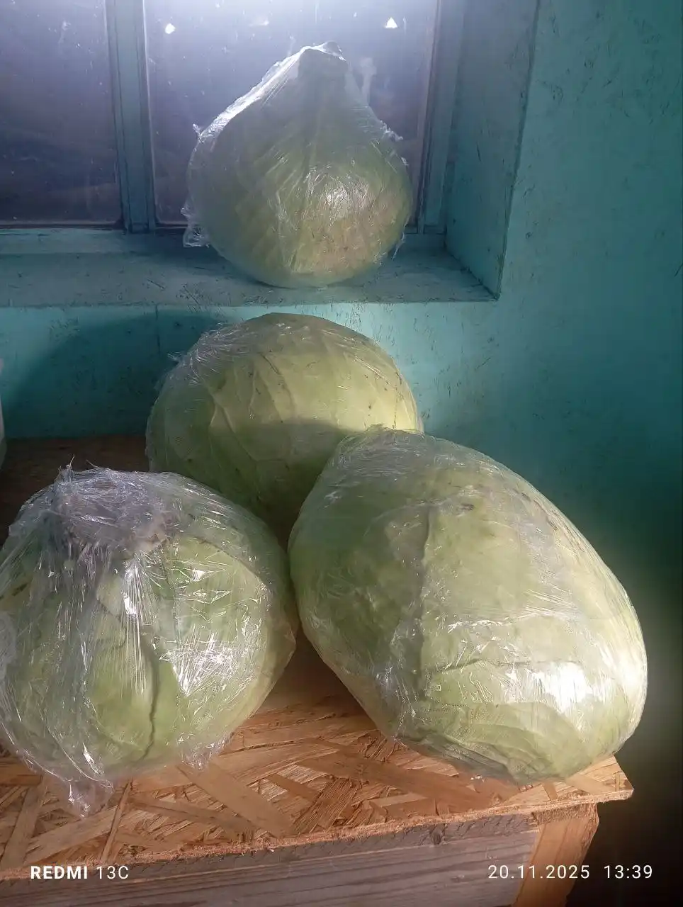 Продажа капусты - Для дома и дачи в Ангарский район