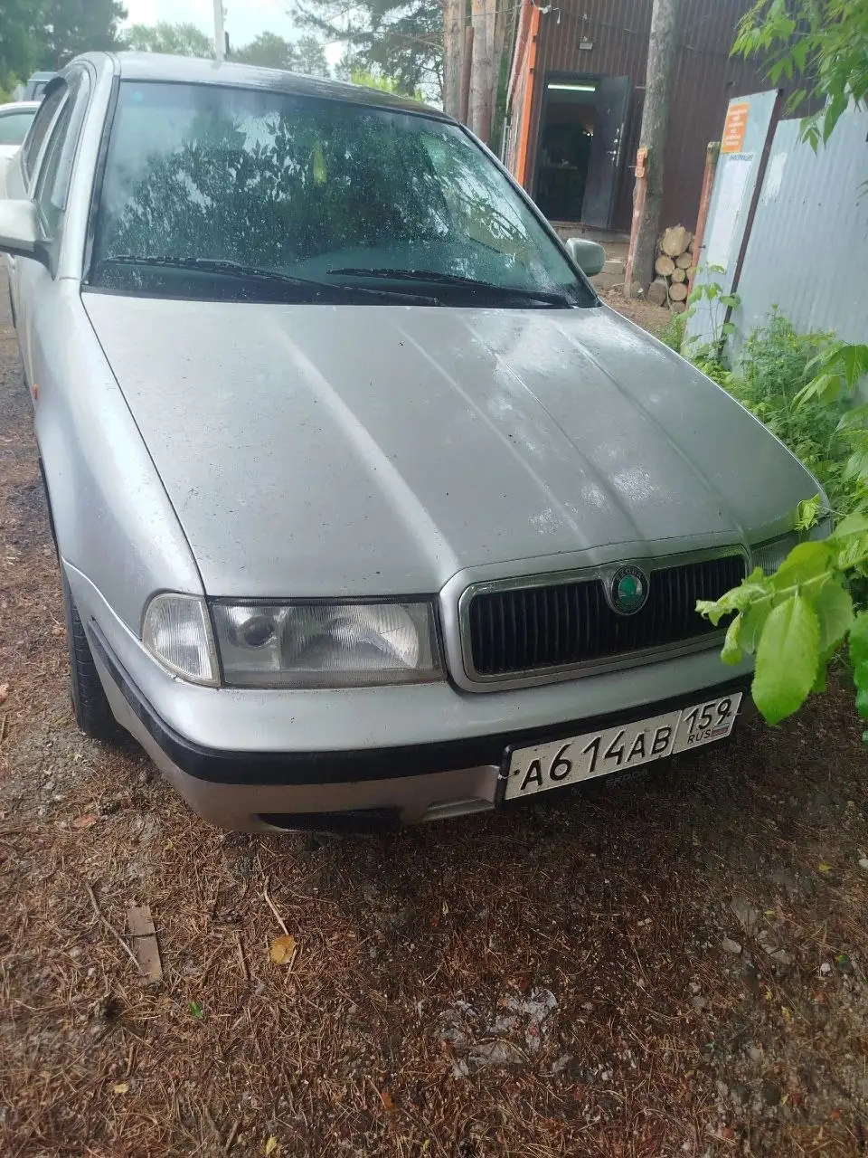Продам Škoda Octavia 1998 - Легковые автомобили (Авто) в Чайковский