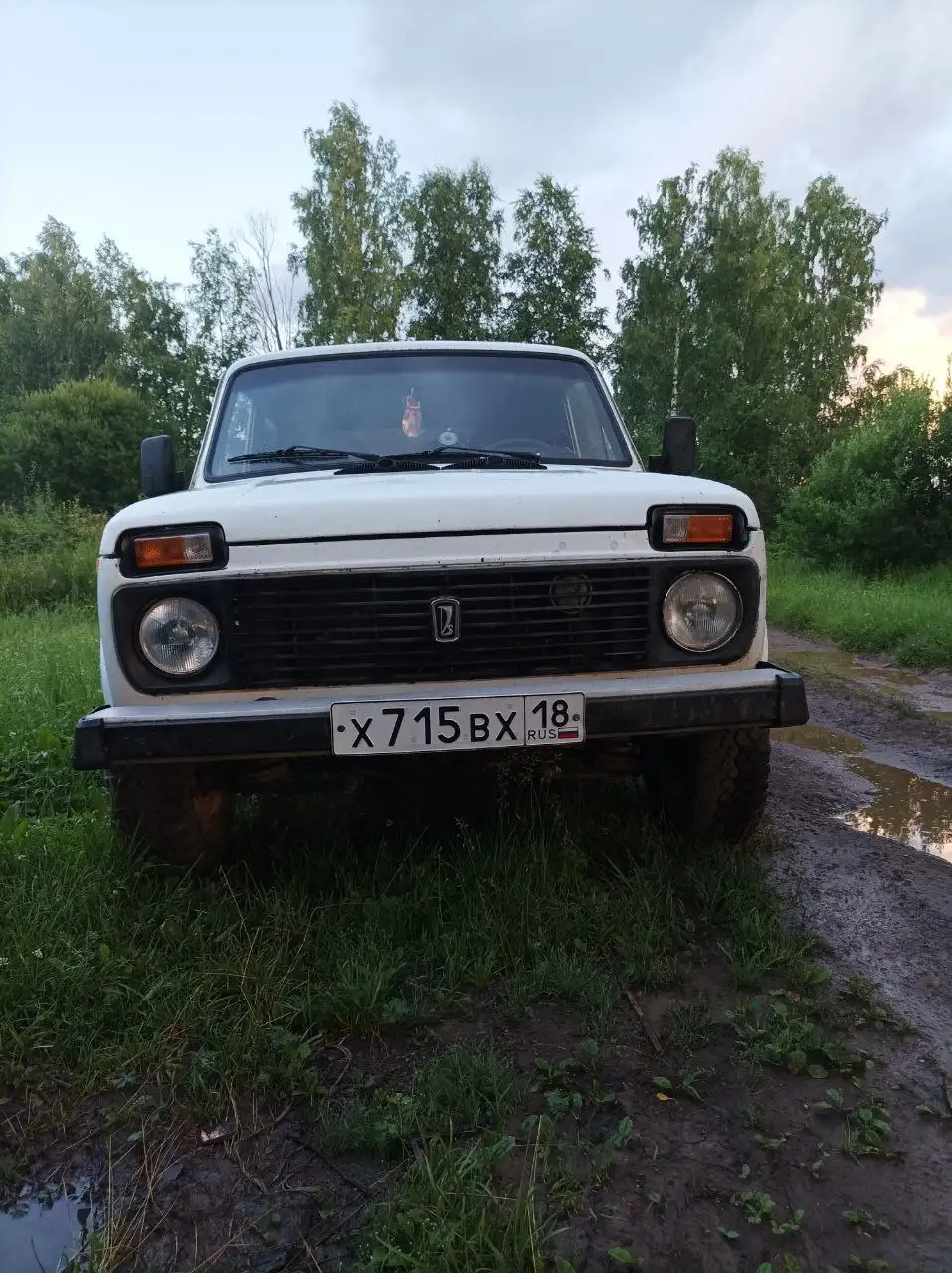 Продам Нива 1995 - Внедорожники (Авто) в Глазов