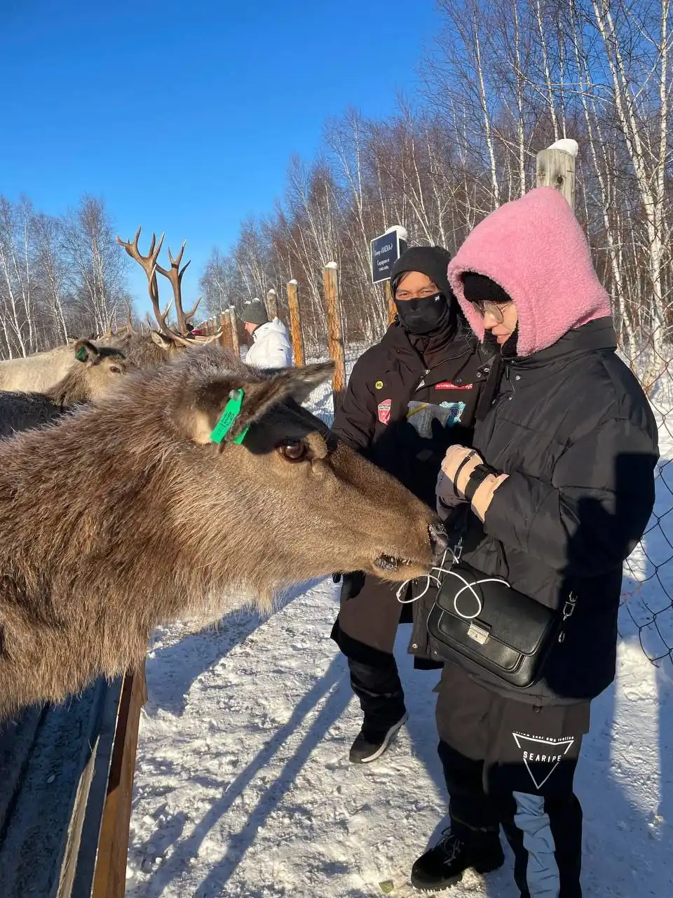 Тур на Байкал 'Хрустальная сказка' на хивусе - Туры и экскурсии (Хобби и отдых) в Иркутск