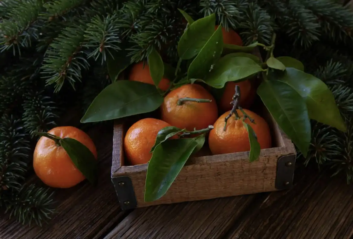 Приглашение в закрытое пространство для взаимопомощи и вдохновения