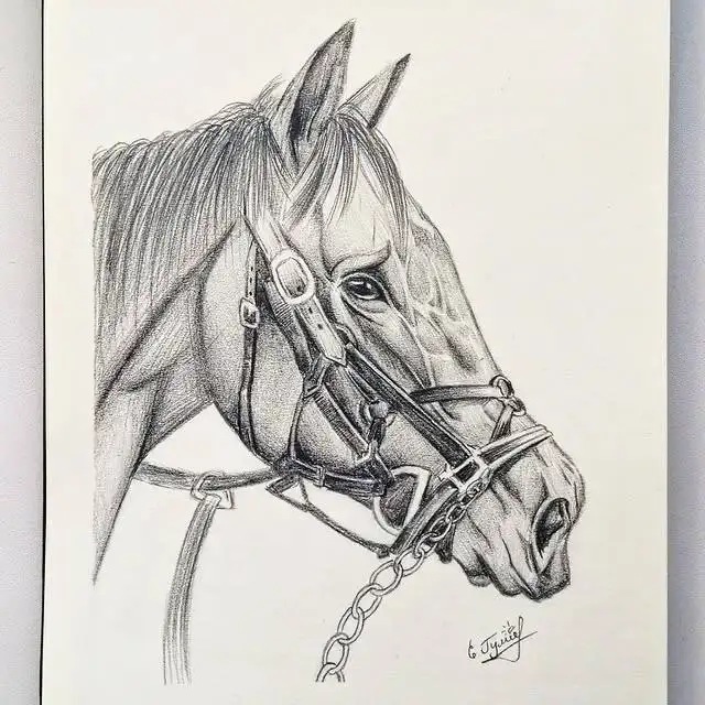 Авторские рисунки вручную - Творческие услуги (Услуги) в Москва