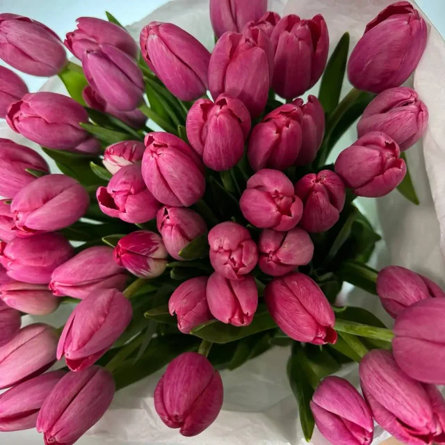 Букеты тюльпанов к 8 марта - Билеты в Москва