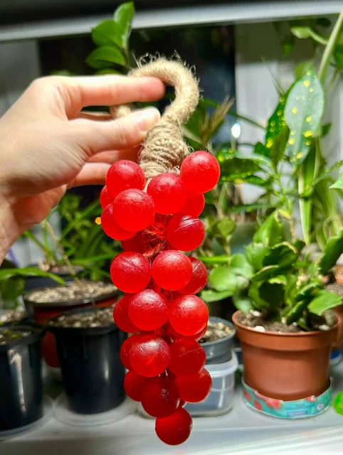 Мыло ручной работы с натуральным составом - Номера автомобильные в Москва