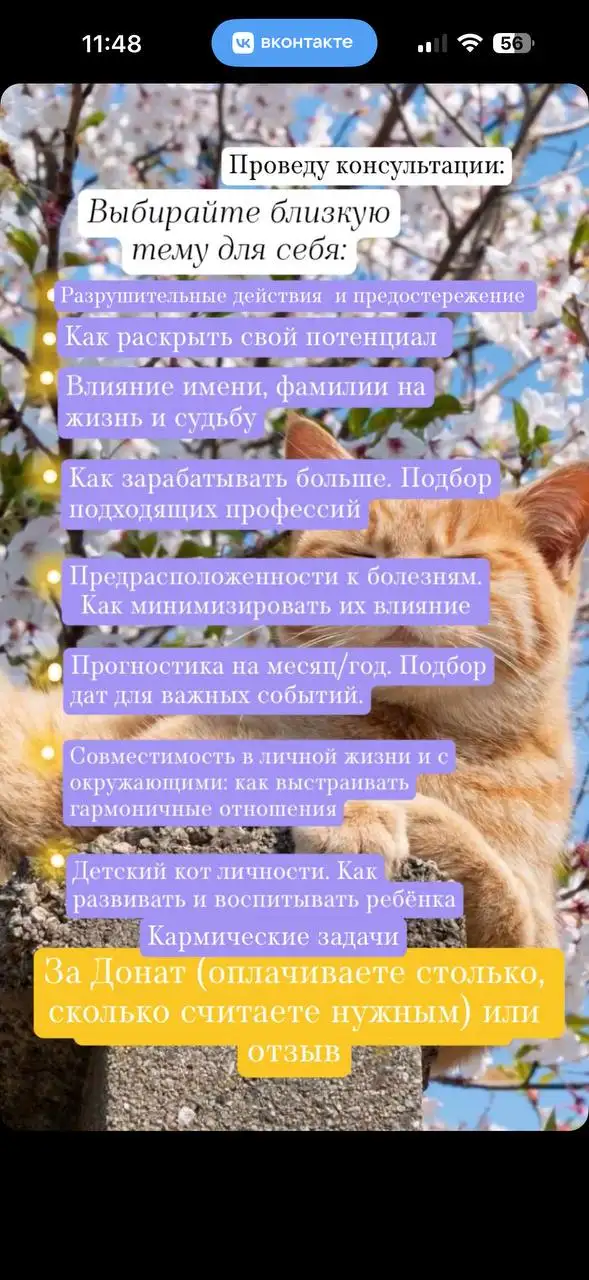 Консультация по цифровой психологии - Консультационные услуги (Услуги) в Москва