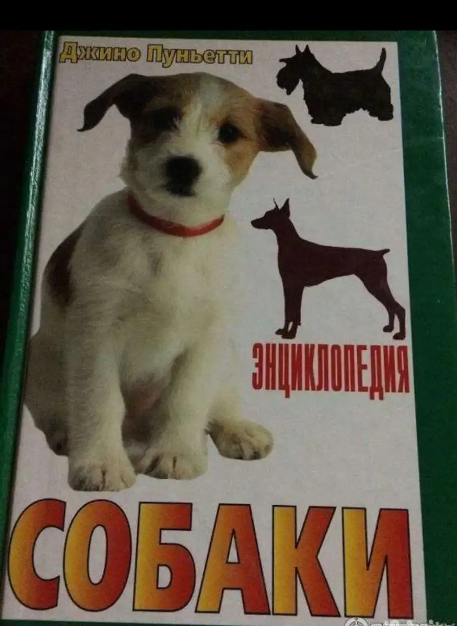 Энциклопедия собаки, Джино Пуньетти, 1998 - Книги (Хобби и отдых) в Москва