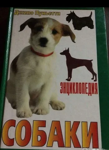 Энциклопедия собаки, Джино Пуньетти, 1998 - Искусство и антиквариат в Москва