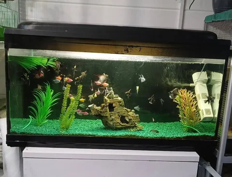 Продам аквариум 315 литров со всем содержимым - частное объявление в Москва