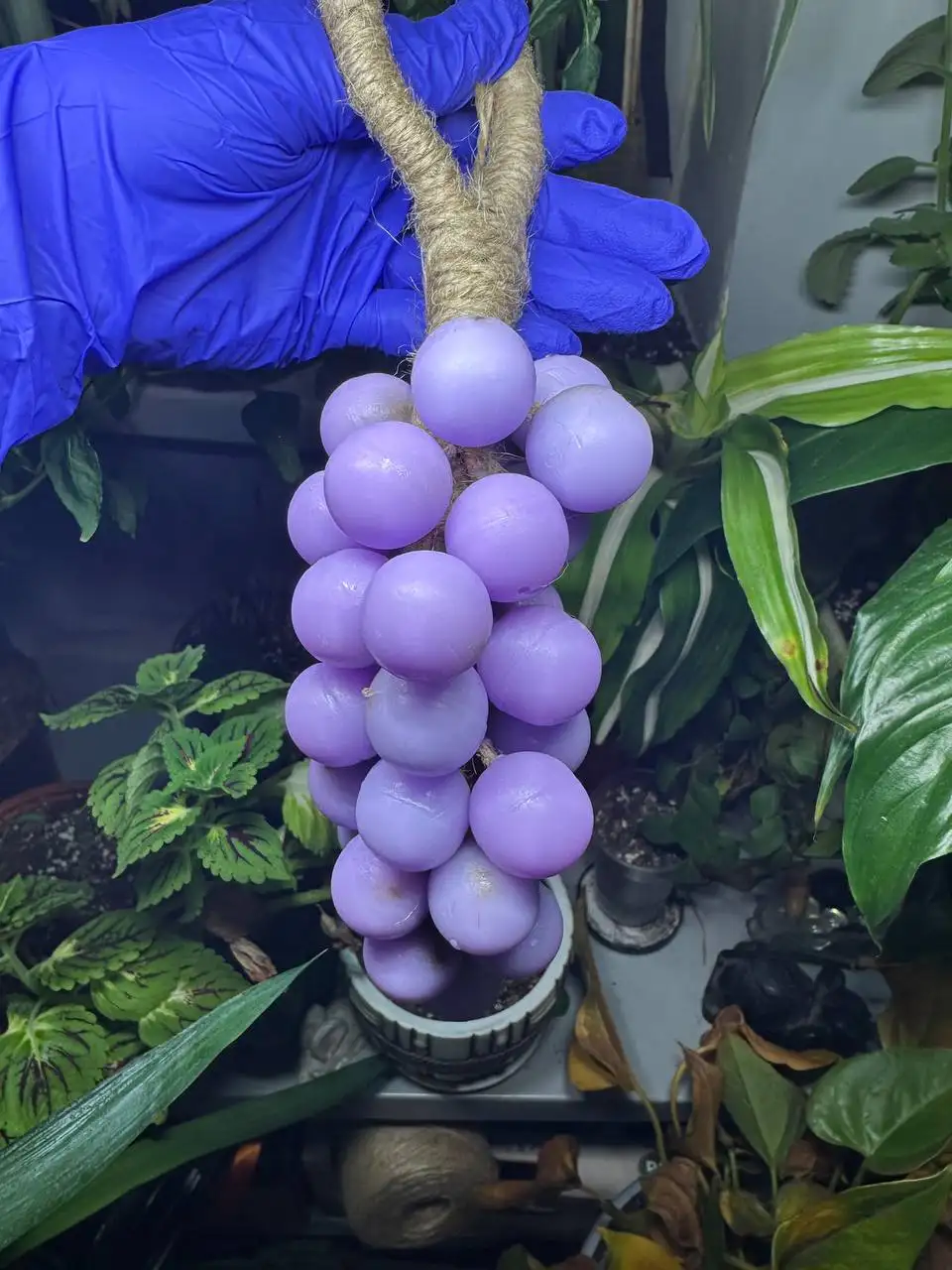 Мыло ручной работы в виде виноградной грозди - Красота и здоровье в Москва