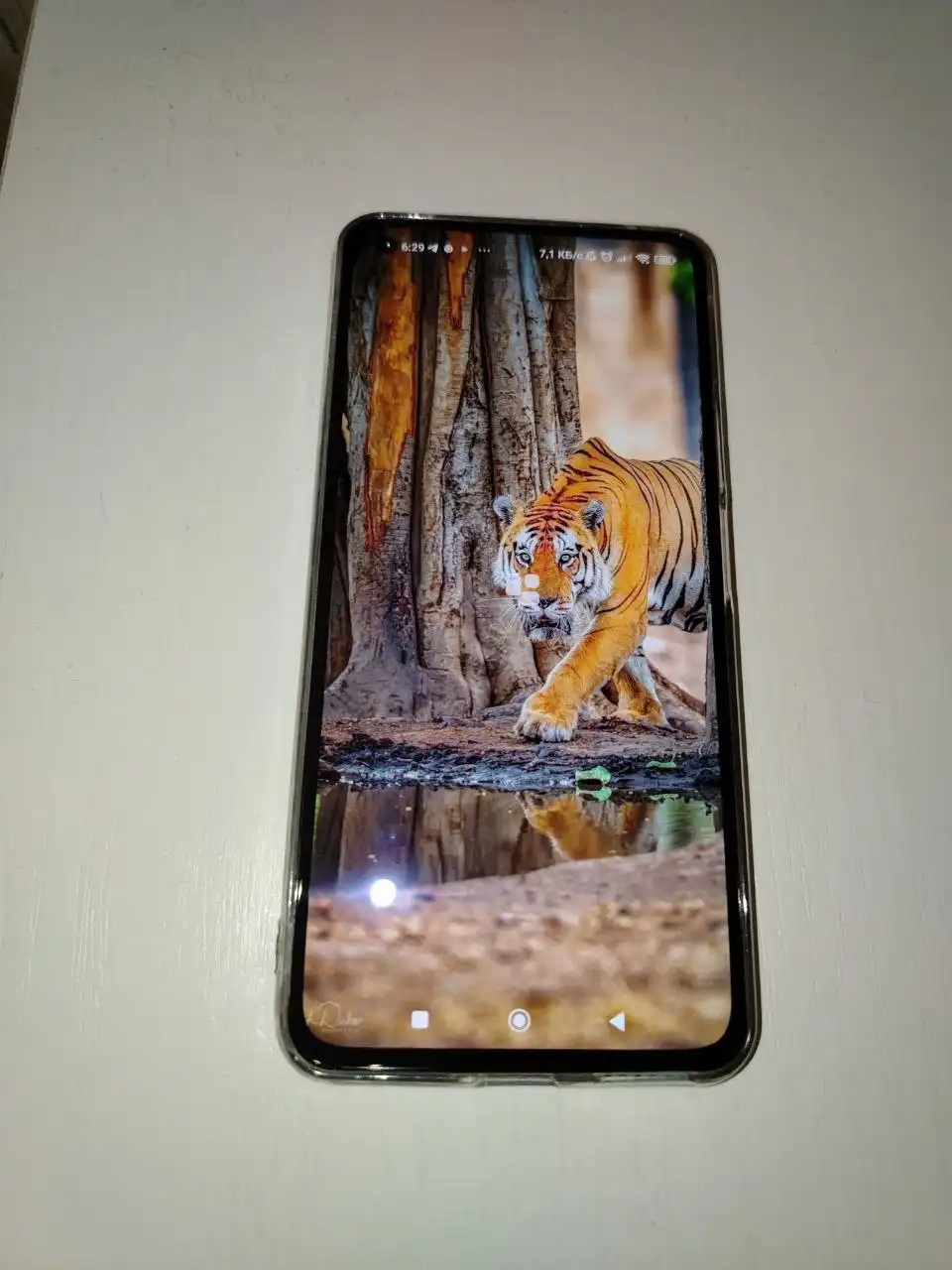 Xiaomi Mi 11 lite 5g