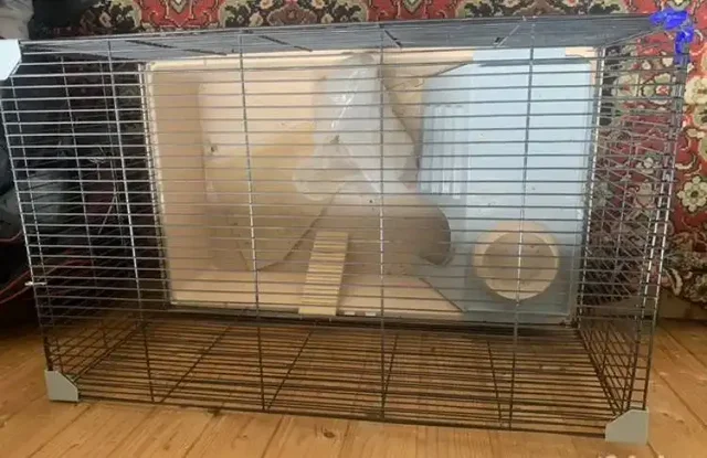 Большая клетка для грызунов б/у - Животные в Воронеж