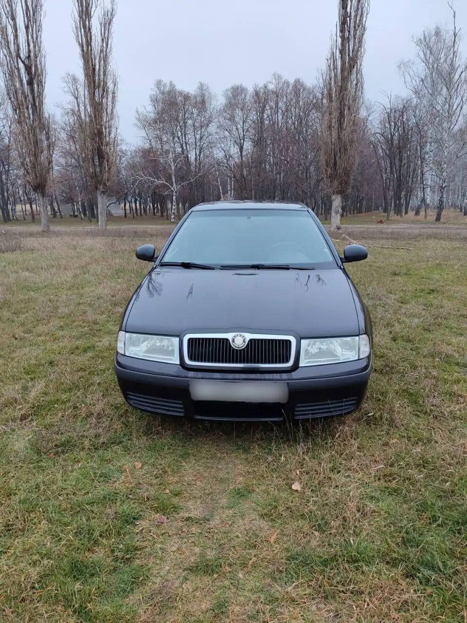 Шкода Октавия 1.6 2010г пробег 189т.км