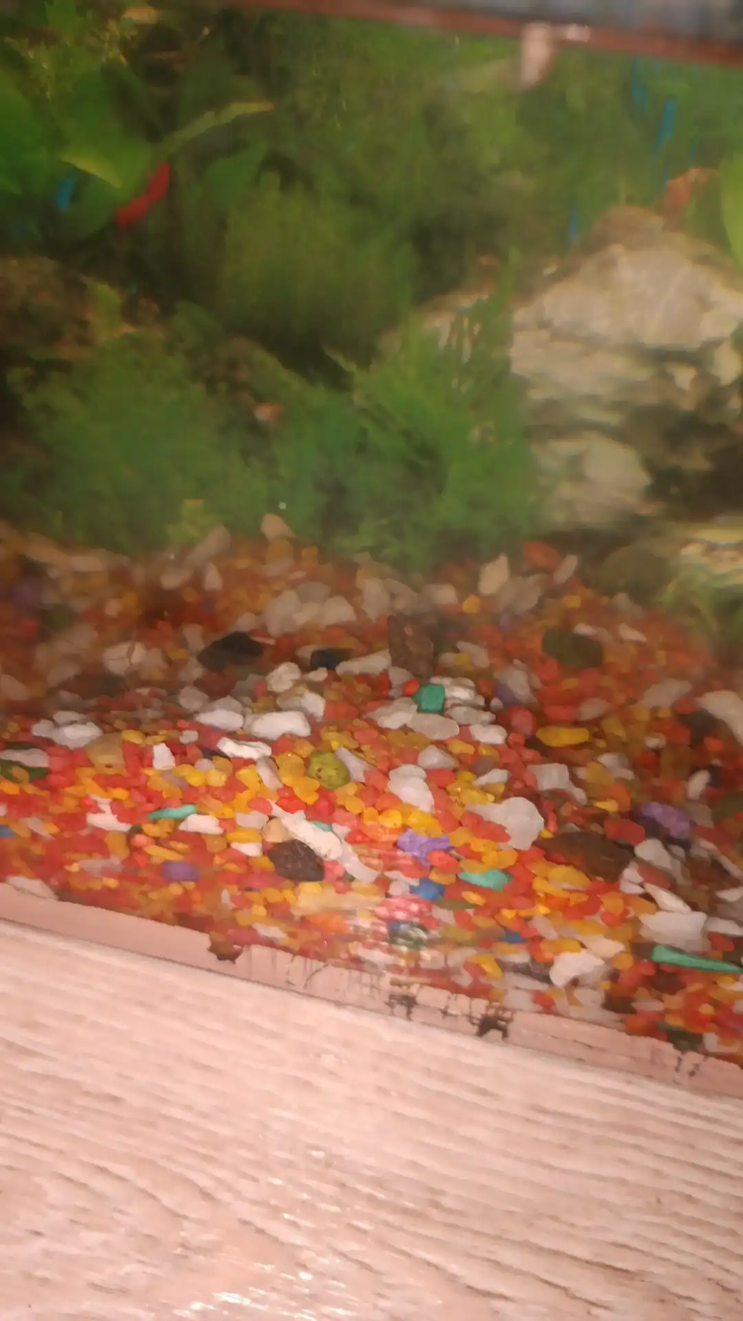 Продажа или обмен аквариумного грунта