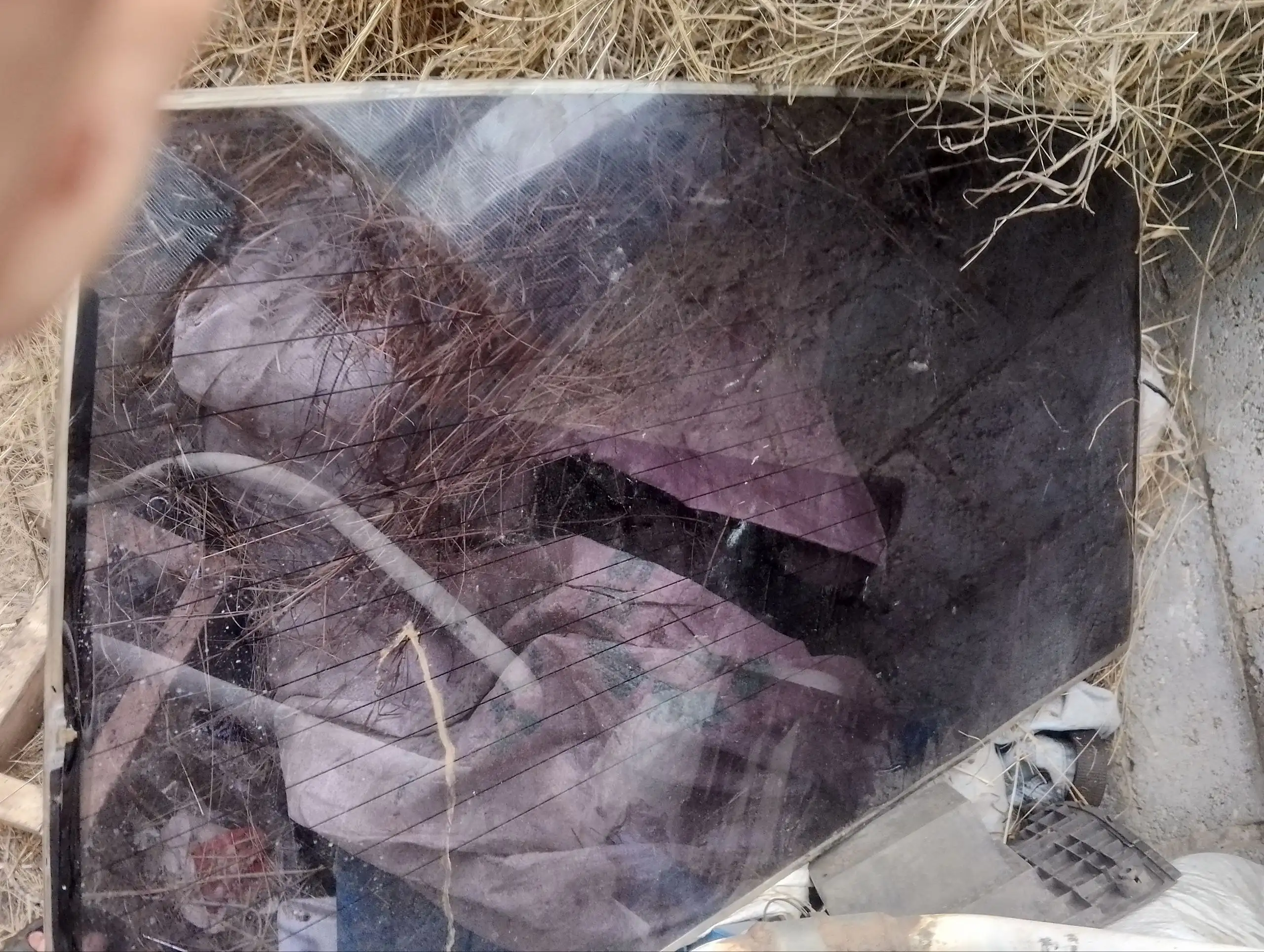 Продам автозапчасти на ВАЗ 2109 - Кузовные детали (Запчасти) в Тольятти