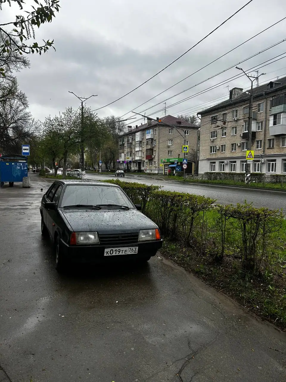 Пропажа кошки в Тольятти - Животные в Тольятти