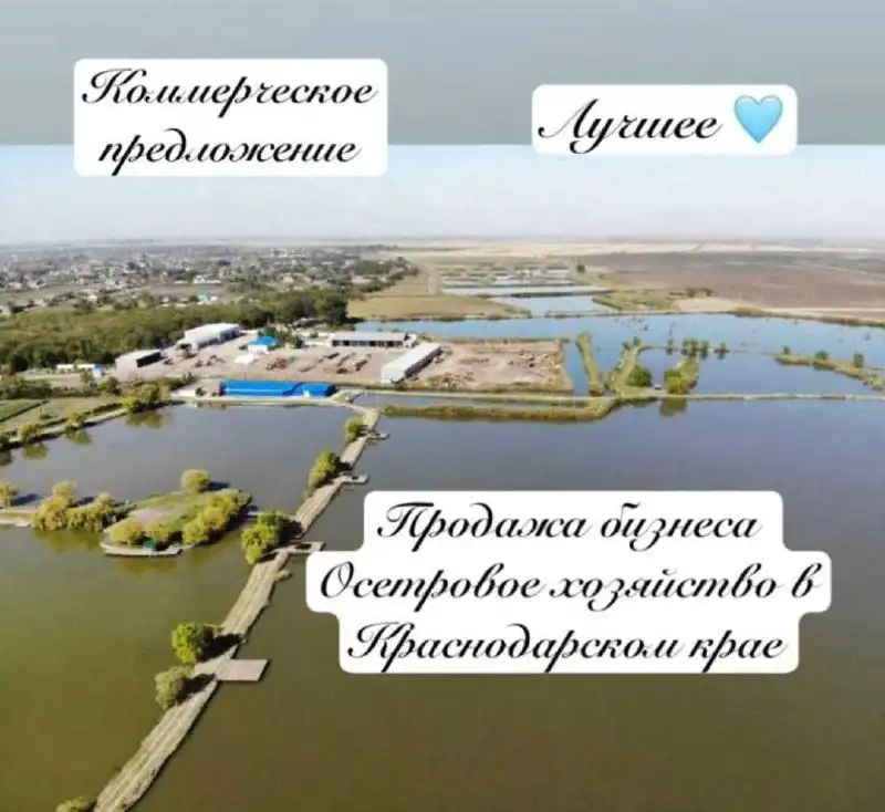 Продажа готового бизнеса: осетровое хозяйство в Краснодарском крае