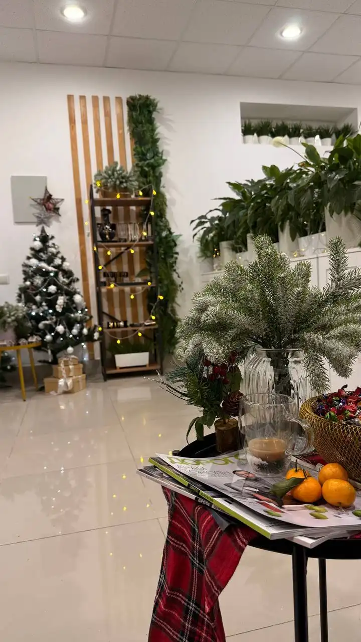 Услуги мастера бровиста и ламимейкера в Сочи