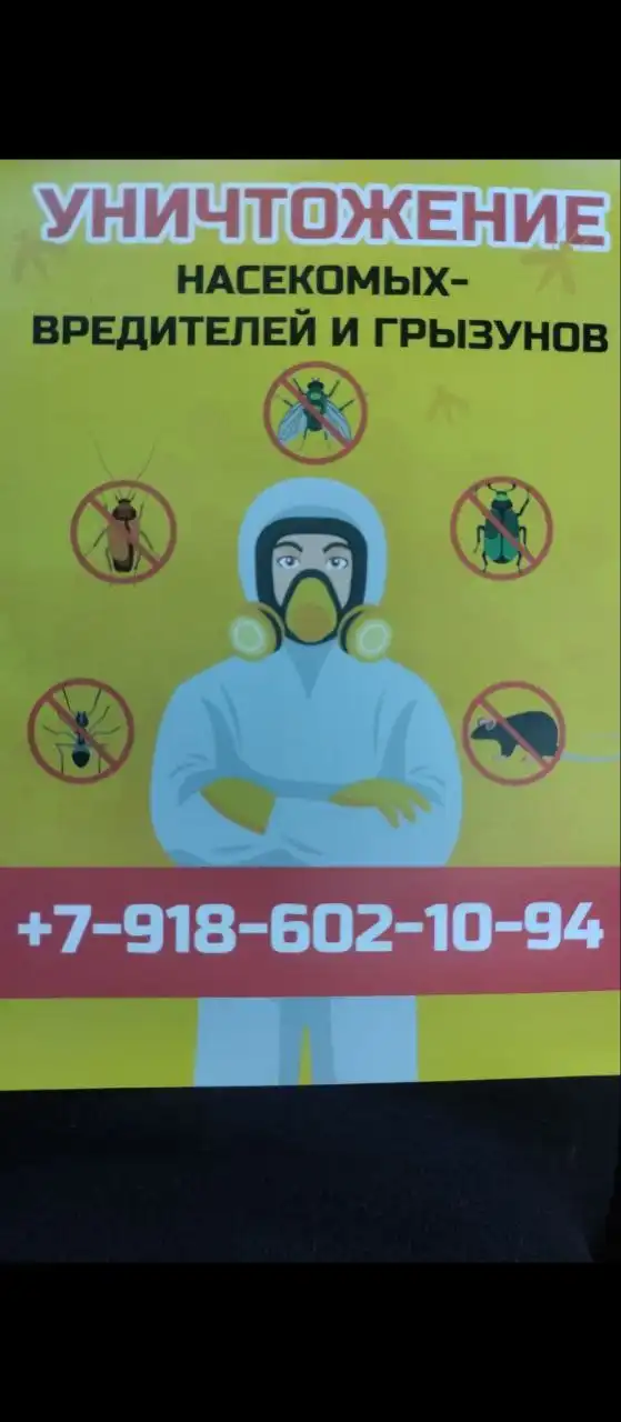 Уничтожение насекомых, грызунов, плесени, грибка, запахов, фумигация - Дезинсекция и дератизация (Услуги) в Сочи
