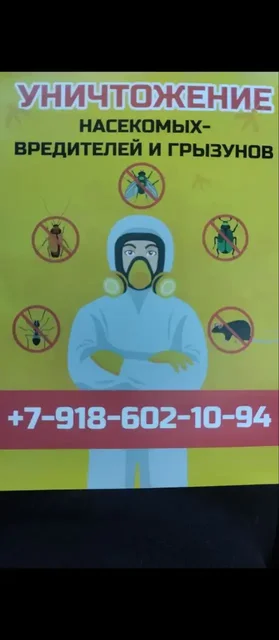 Уничтожение насекомых, грызунов, плесени, грибка, запахов, фумигация - частное объявление в Сочи