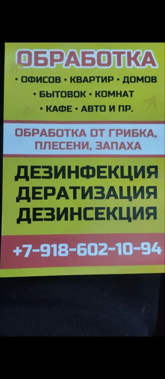Уничтожение насекомых, грызунов, плесени, грибка, запахов, фумигация - Дезинсекция и дератизация (Услуги) в Сочи