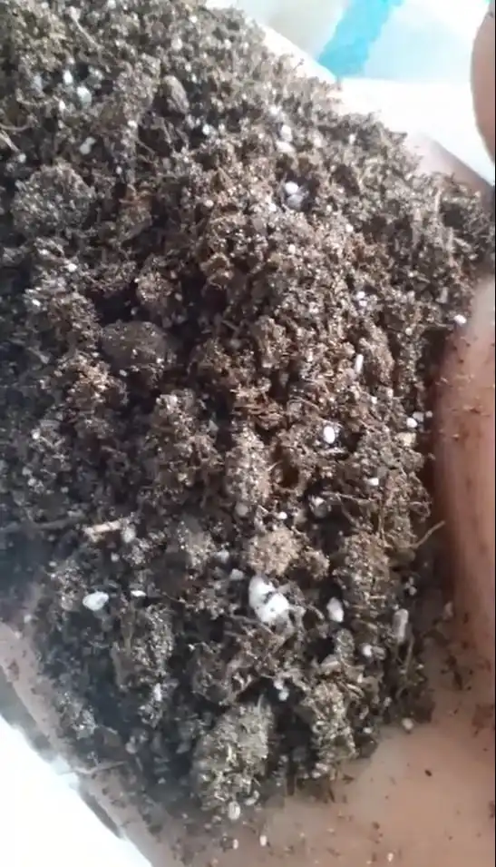 Органические гранулы и почвоконцентраты для растений