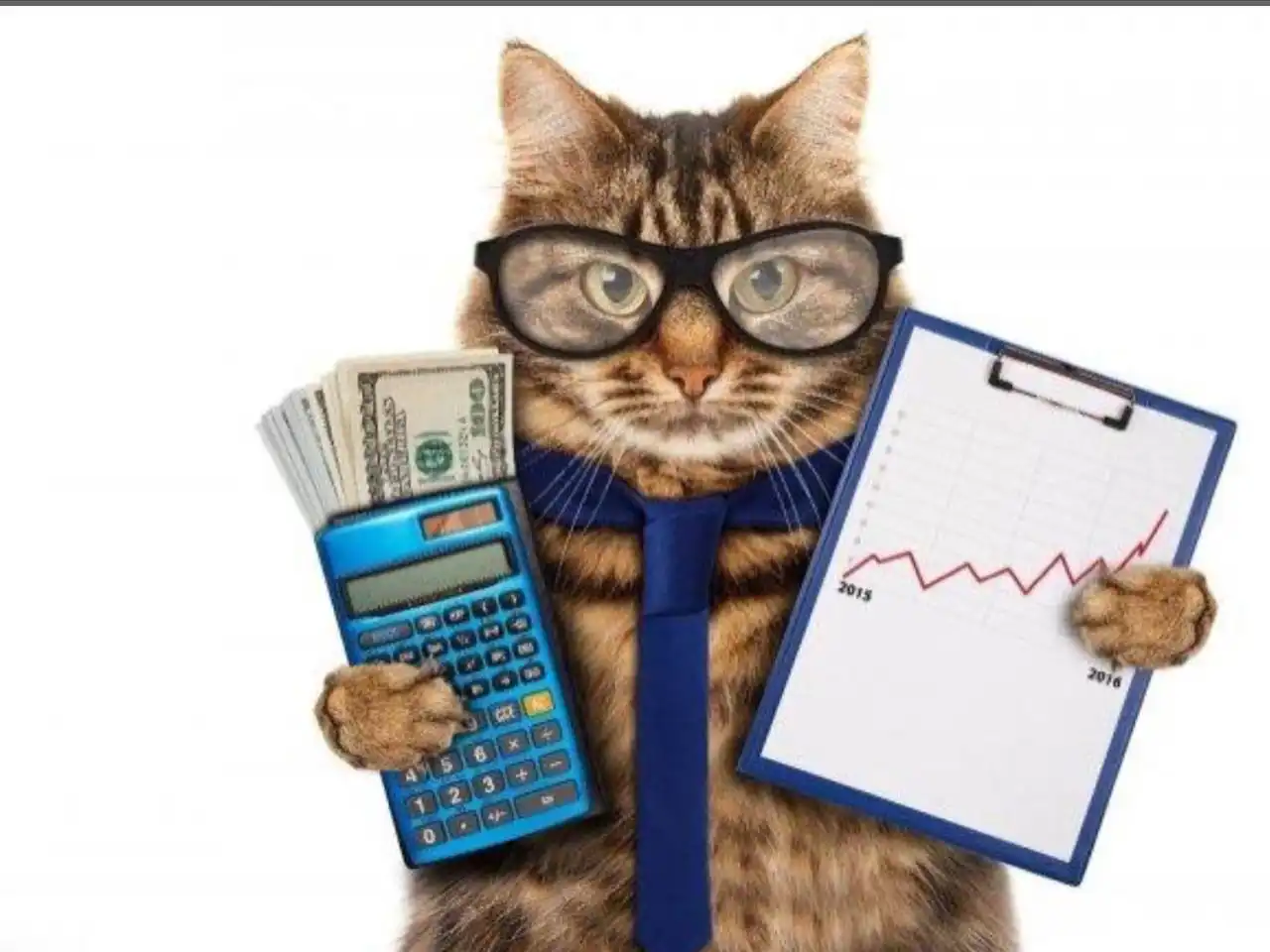 Бухгалтерские услуги для предпринимателей и юридических лиц